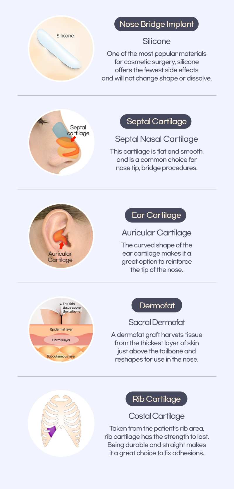 Which implants are used for revision rhinoplasty description page